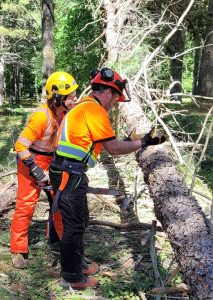 Two men wearing helmets and orange safety clothing examine a fallen tree trunk