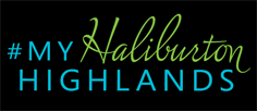 haliburton-logo